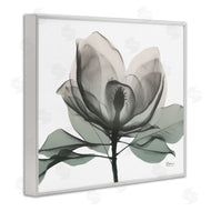 Albert Koetsier | White Magnolia Flower Green Silhouette