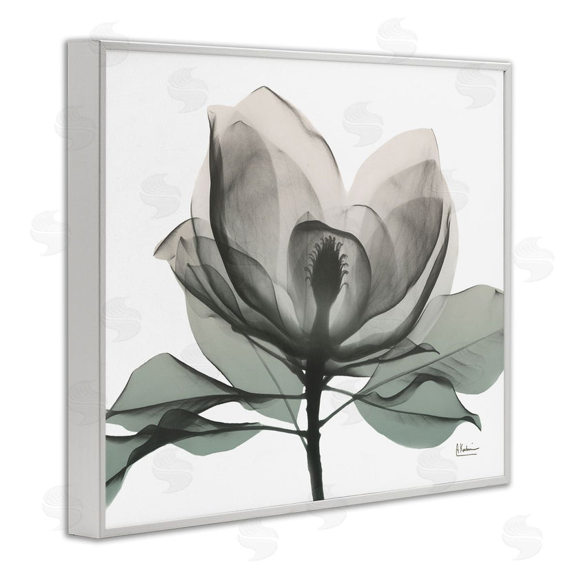 Albert Koetsier | White Magnolia Flower Green Silhouette