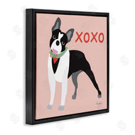 Mark Higden | Boston Terrier Dog Hugs and Kisses