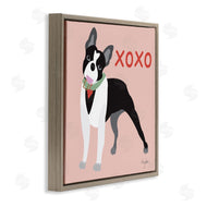 Mark Higden | Boston Terrier Dog Hugs and Kisses