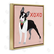 Mark Higden | Boston Terrier Dog Hugs and Kisses