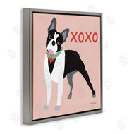Mark Higden | Boston Terrier Dog Hugs and Kisses