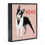 Mark Higden | Boston Terrier Dog Hugs and Kisses