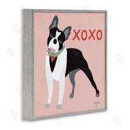 Mark Higden | Boston Terrier Dog Hugs and Kisses