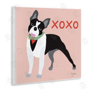 Mark Higden | Boston Terrier Dog Hugs and Kisses