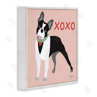 Mark Higden | Boston Terrier Dog Hugs and Kisses