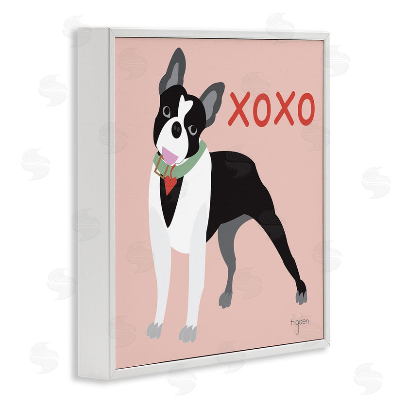 Mark Higden | Boston Terrier Dog Hugs and Kisses