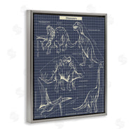 Sangita Bachelet | Vintage Dinosaur Blueprints Dino Fact