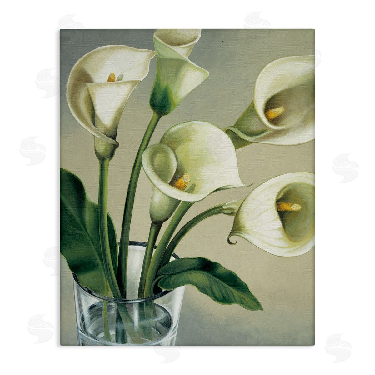 Eva Barberini Soft White Calla Lily Florals Canvas Wall Art