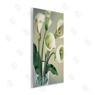 Eva Barberini | Soft White Calla Lily Florals