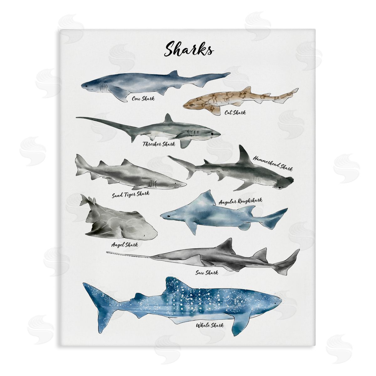 Ziwei Li Shark Chart Watercolor Marine Animals Canvas Wall Art