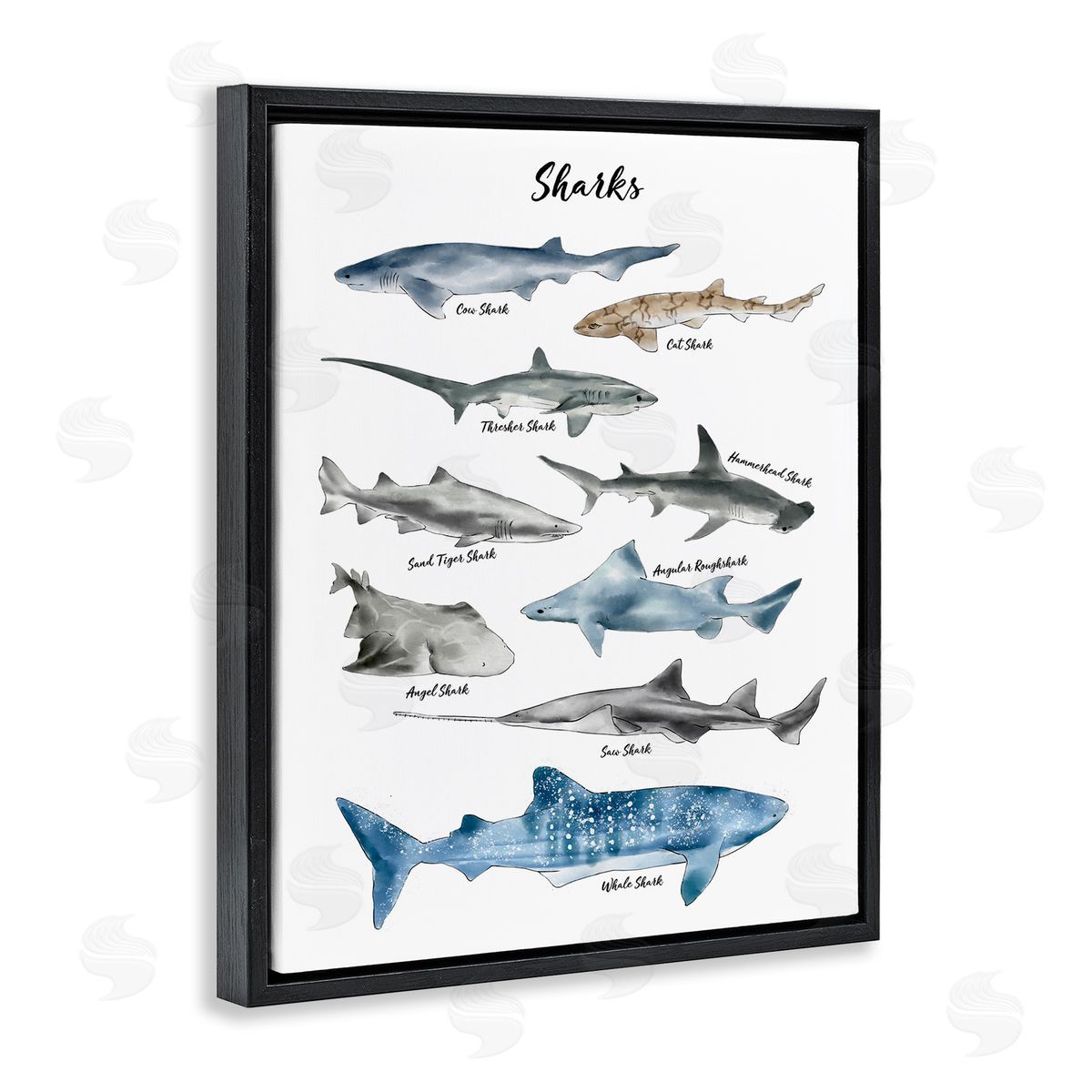 Ziwei Li Shark Chart Watercolor Marine Animals Black Floater Frame Canvas Art
