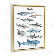 Ziwei Li | Shark Chart Watercolor Marine Animals
