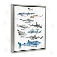 Ziwei Li | Shark Chart Watercolor Marine Animals