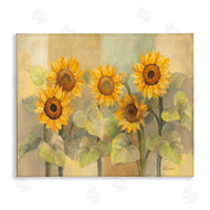 Albena Hristova | Soft Vintage Sunflower Field