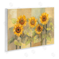 Albena Hristova | Soft Vintage Sunflower Field