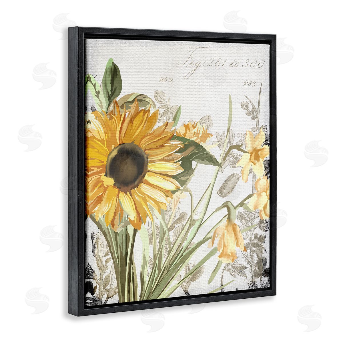 Kim Allen Sunflower Floral over Vintage Plant Black Floater Frame Canvas Art