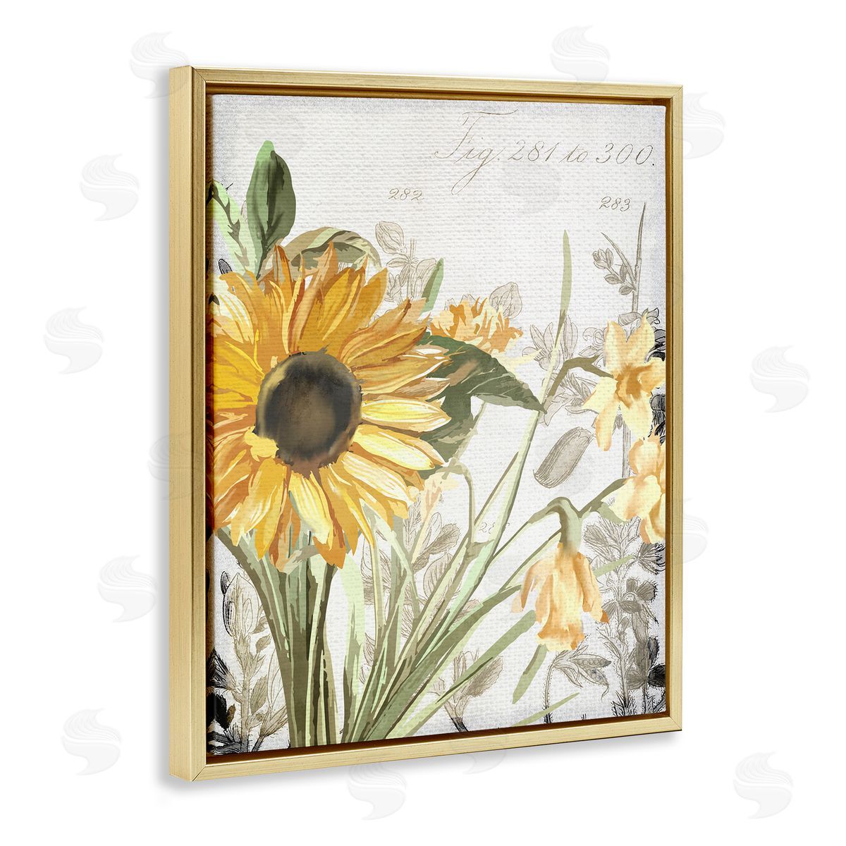 Kim Allen Sunflower Floral over Vintage Plant Gold Floater Frame Canvas Art