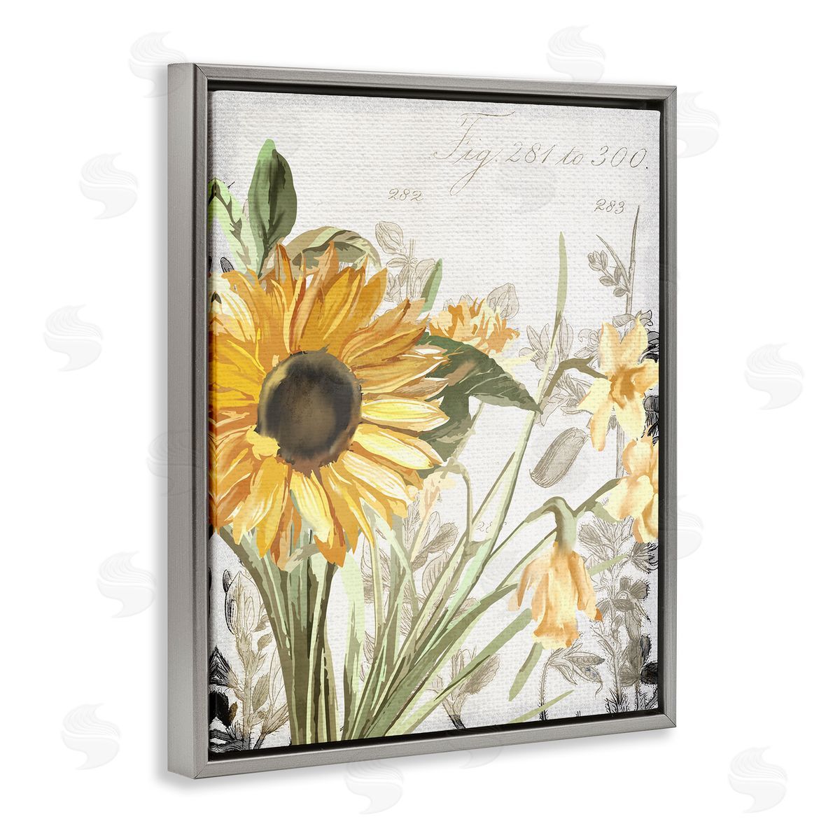 Kim Allen Sunflower Floral over Vintage Plant Gray Floater Frame Canvas Art