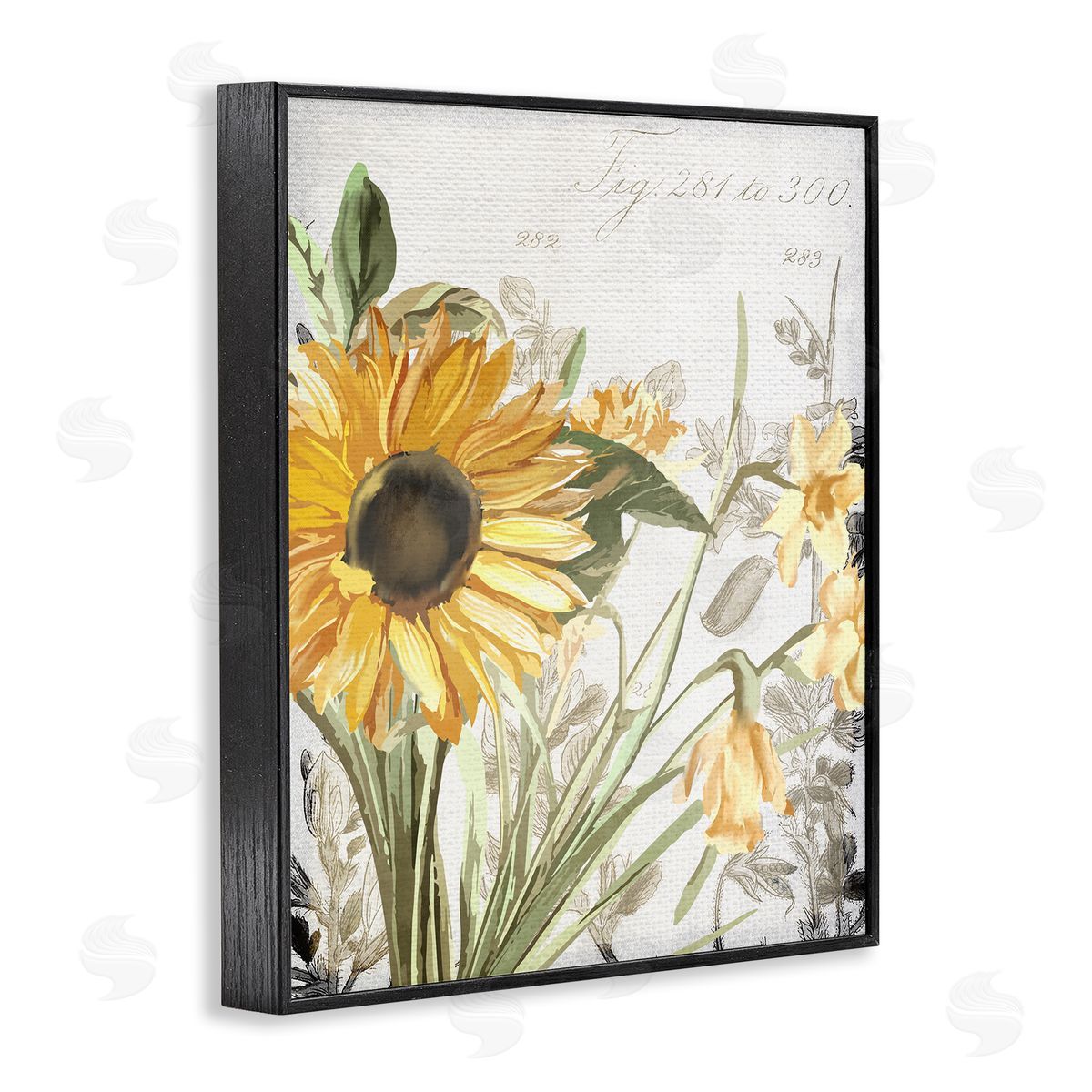 Kim Allen Sunflower Floral over Vintage Plant Black Framed Giclee Wall Art