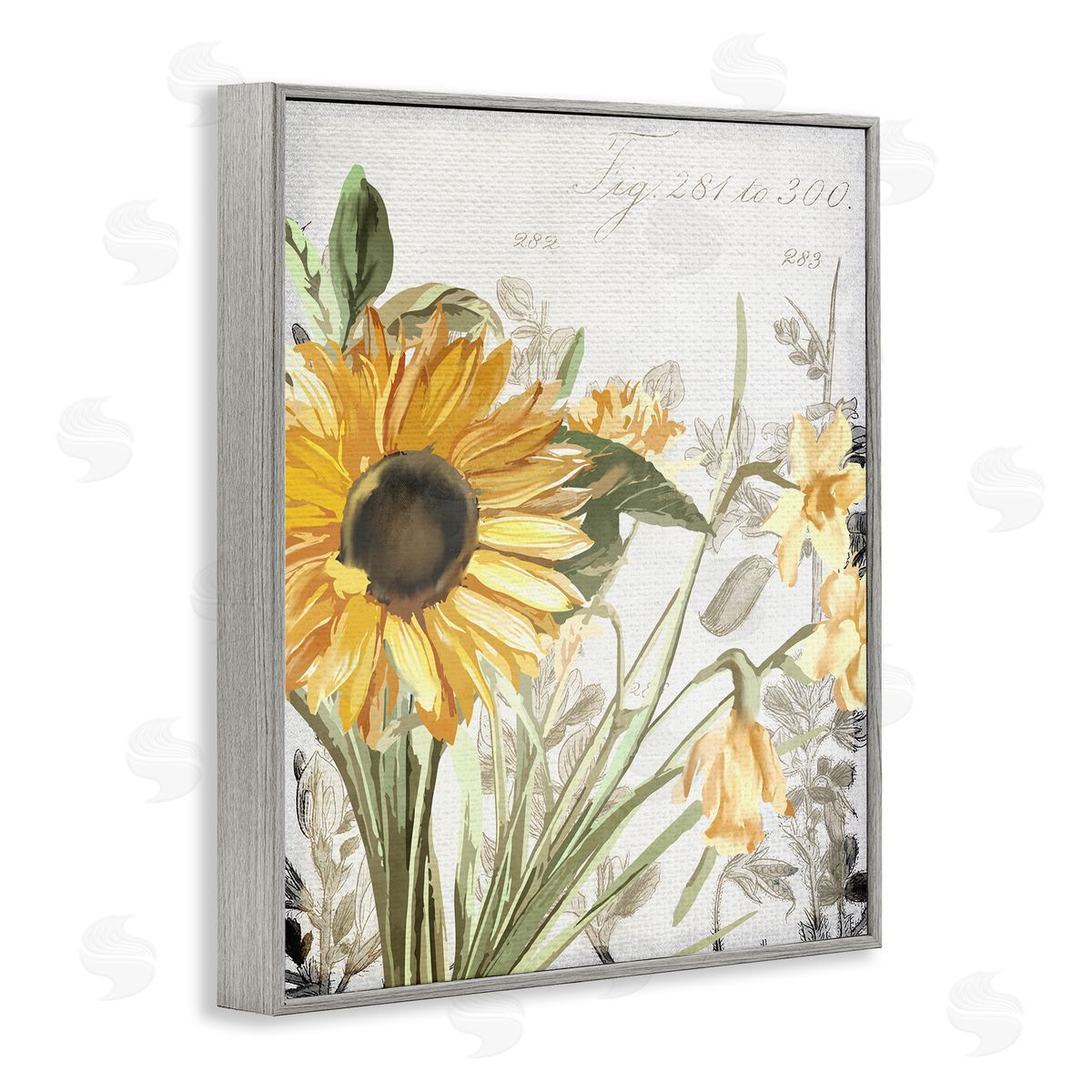 Kim Allen Sunflower Floral over Vintage Plant Gray Framed Giclee Wall Art
