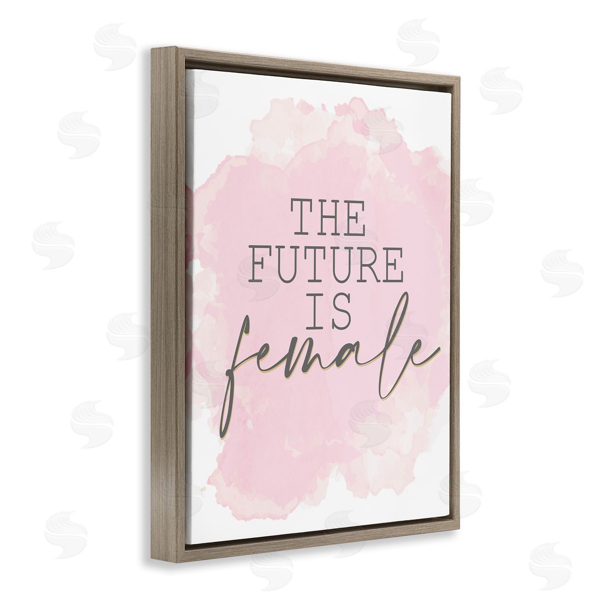 Kim Allen Future is Female Abstract Pink Brown Floater Frame Canvas Art