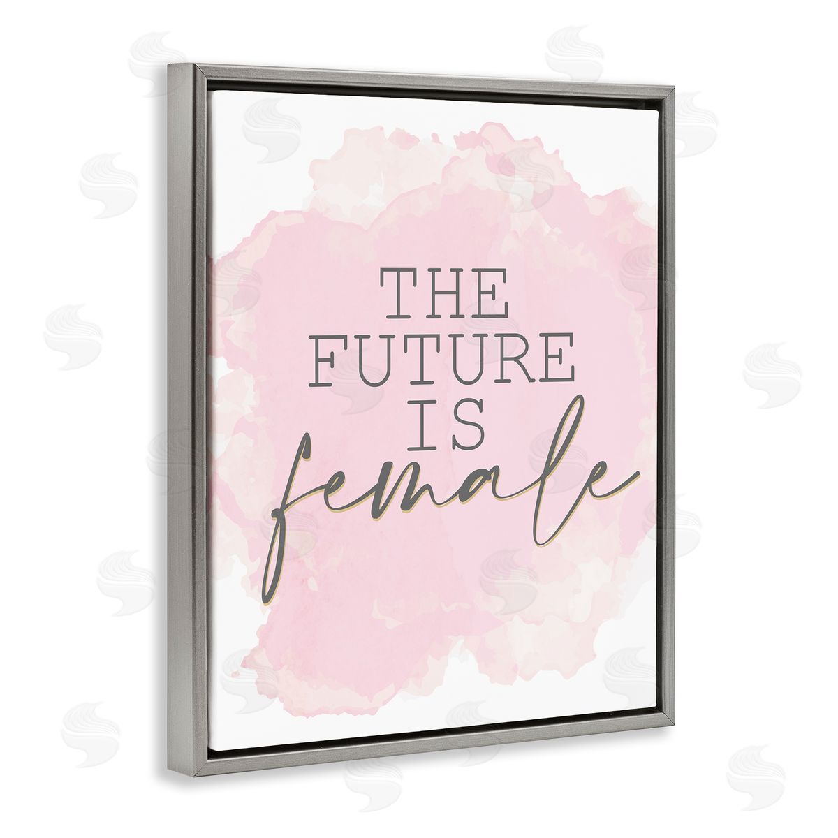 Kim Allen Future is Female Abstract Pink Gray Floater Frame Canvas Art