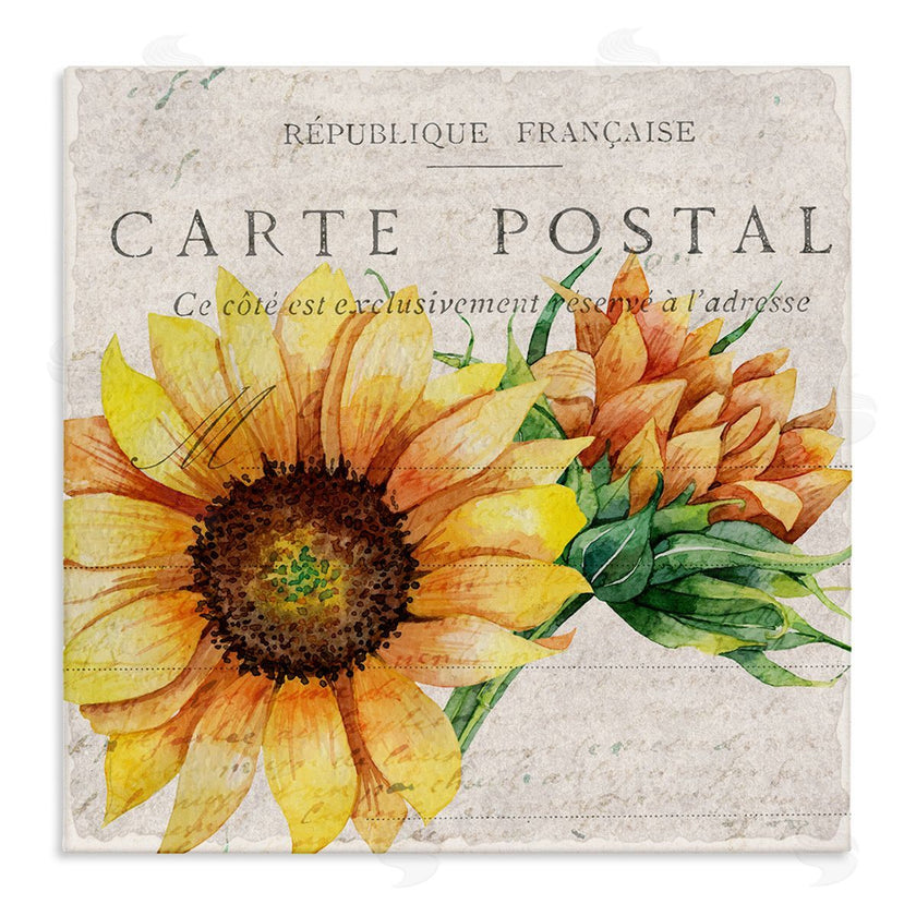 Kim Allen | Vintage French Sunflower Postcard