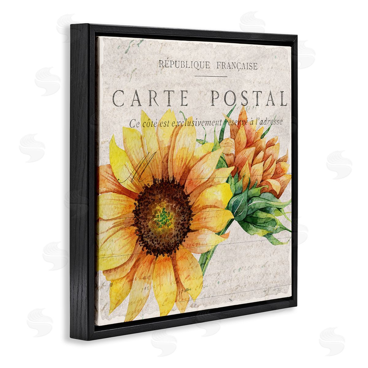 Vintage French Sunflower Postcard Black Floating Frame Canvas Wall Art, Home Decor by Kim Allen