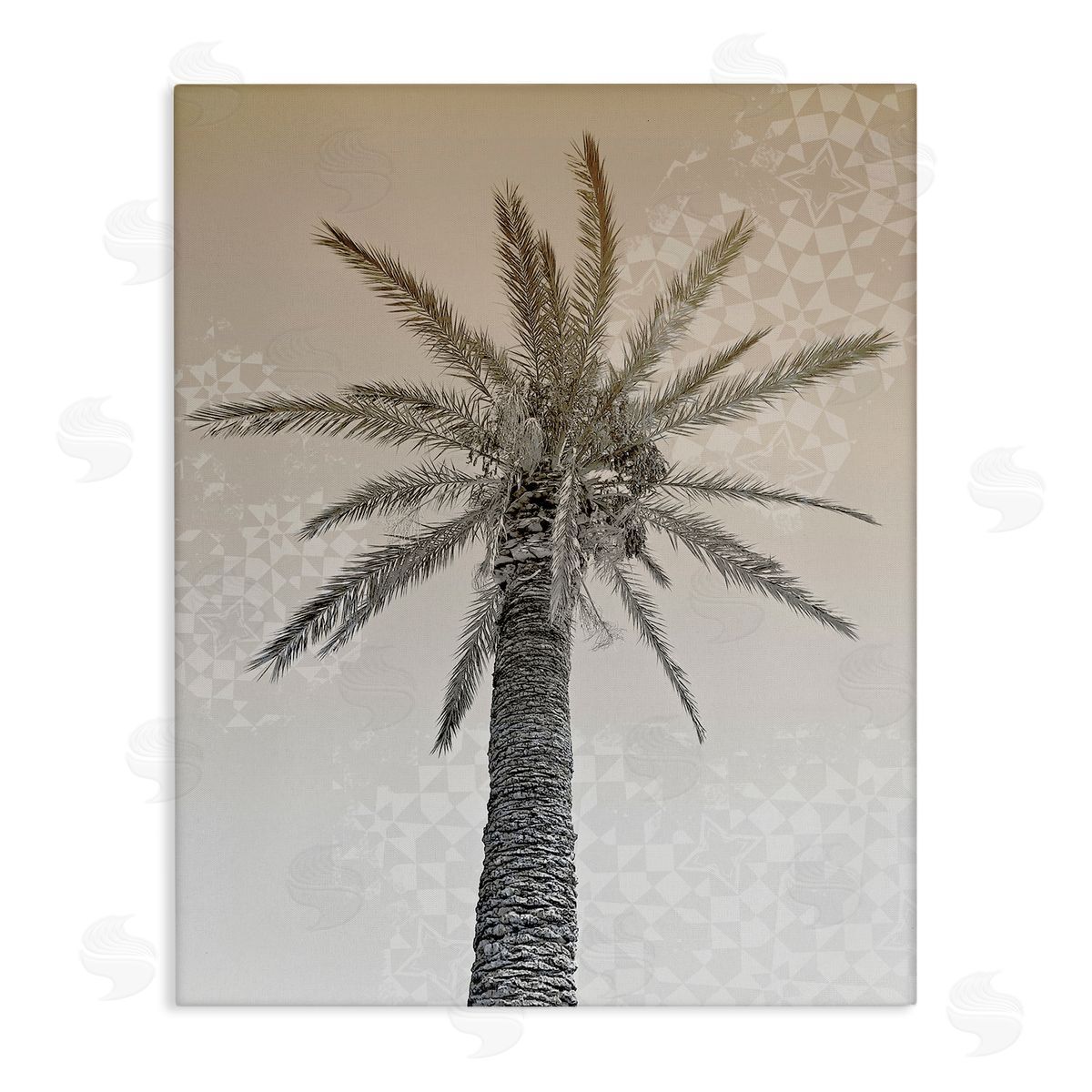 Stupell Studio Sepia Palm Tree Geometric Pattern Canvas Wall Art