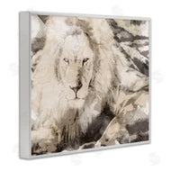 Stupell Studio | Abstract Sepia Jungle Lion Portrait