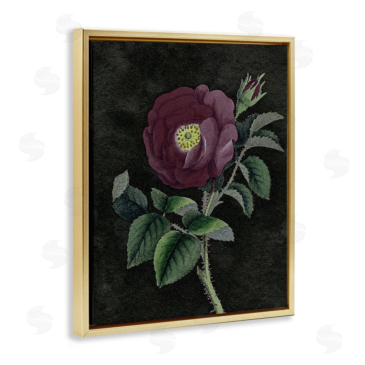 Stupell Studio Purple Poppy Vintage Illustration Gold Floater Frame Canvas Art