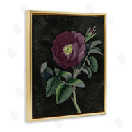 Stupell Studio | Purple Poppy Vintage Illustration