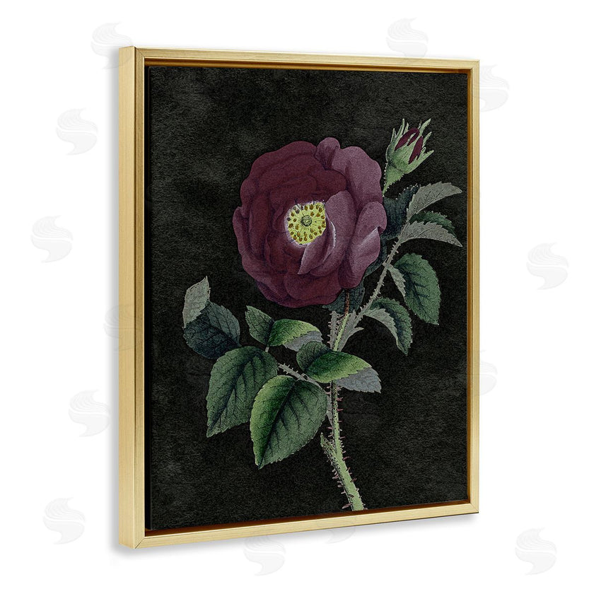 Stupell Studio | Purple Poppy Vintage Illustration