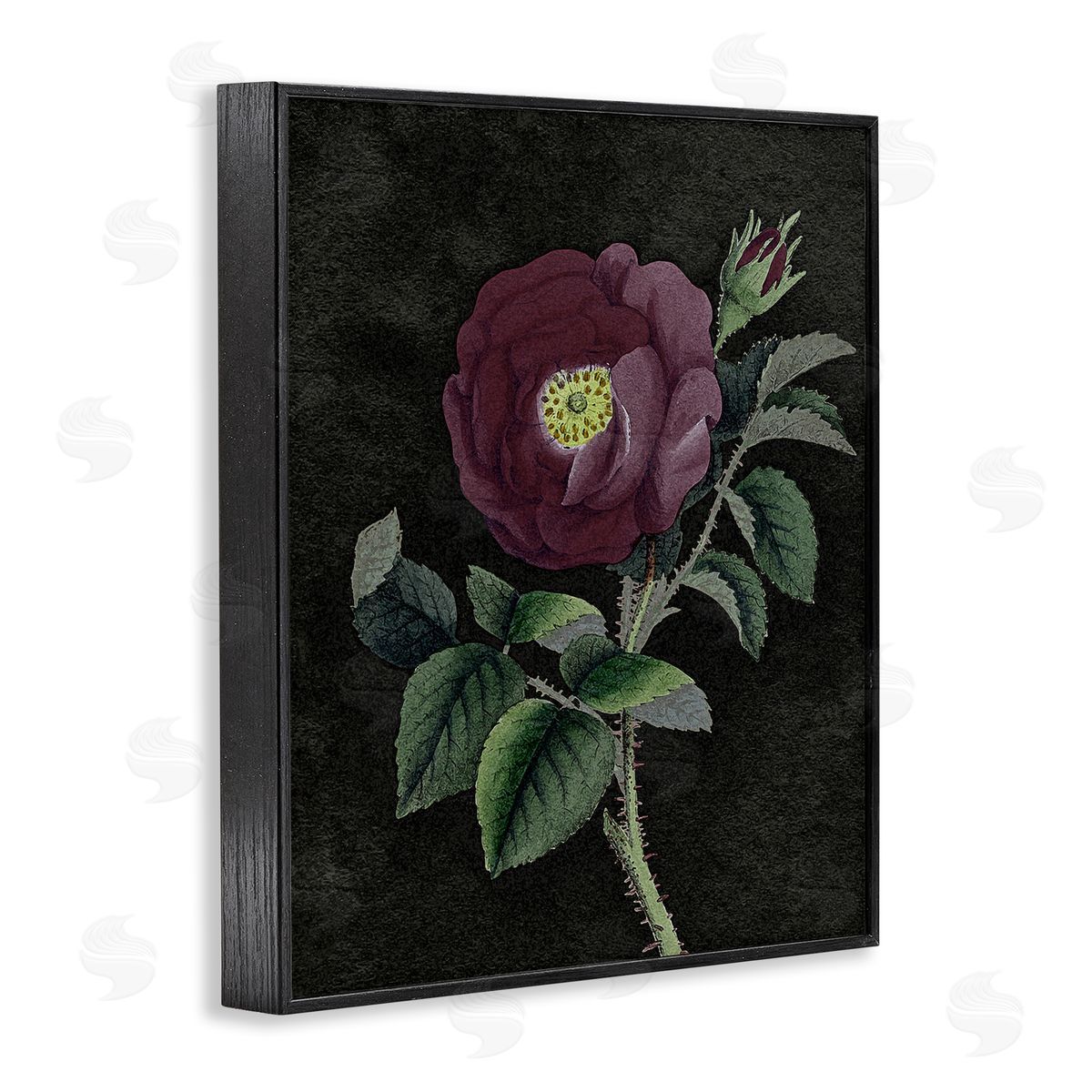 Stupell Studio Purple Poppy Vintage Illustration Black Framed Giclee Wall Art