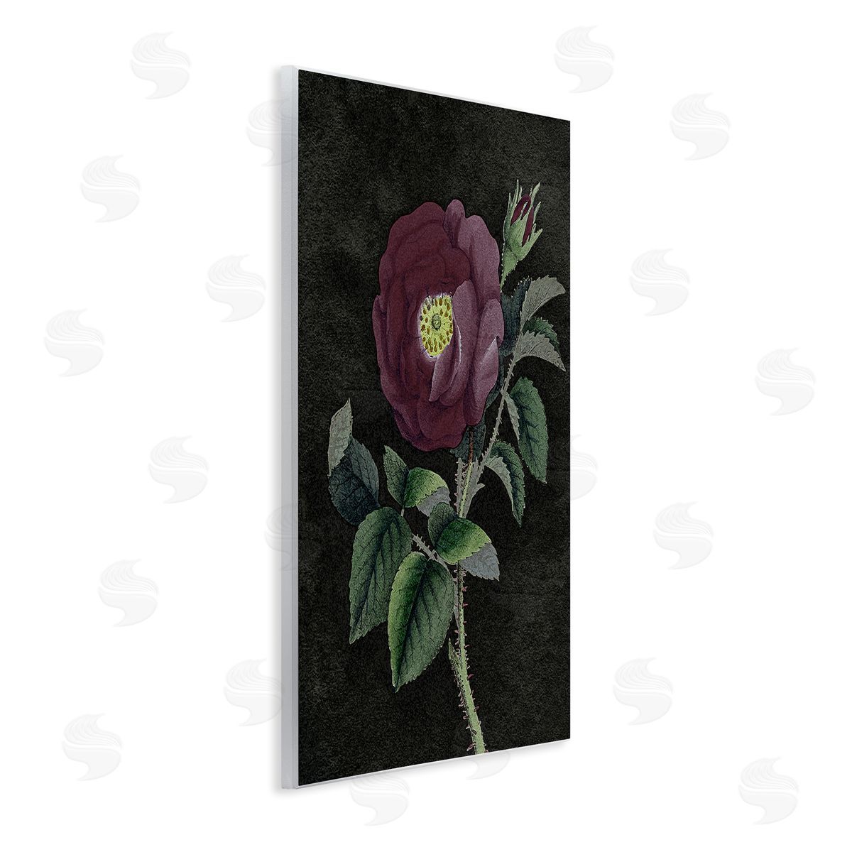 Stupell Studio Purple Poppy Vintage Illustration Wall Plaque Art