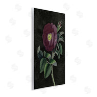 Stupell Studio | Purple Poppy Vintage Illustration