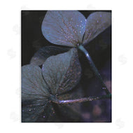 Stupell Studio | Dark Tone Glittered Clover Petals
