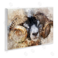 Ziwei Li | Big Horned Ram Abstract Portrait