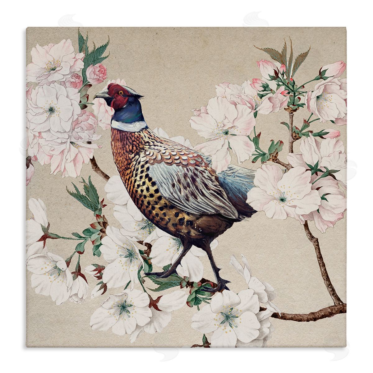 Ziwei Li Vintage Wild Turkey Pink Tree Blossoms  Canvas Wall Art