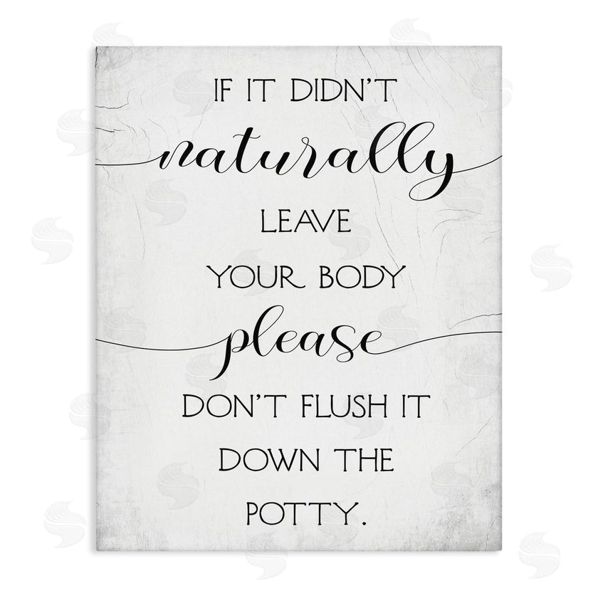 Stupell Studio | Don't Flush Down Potty Quote