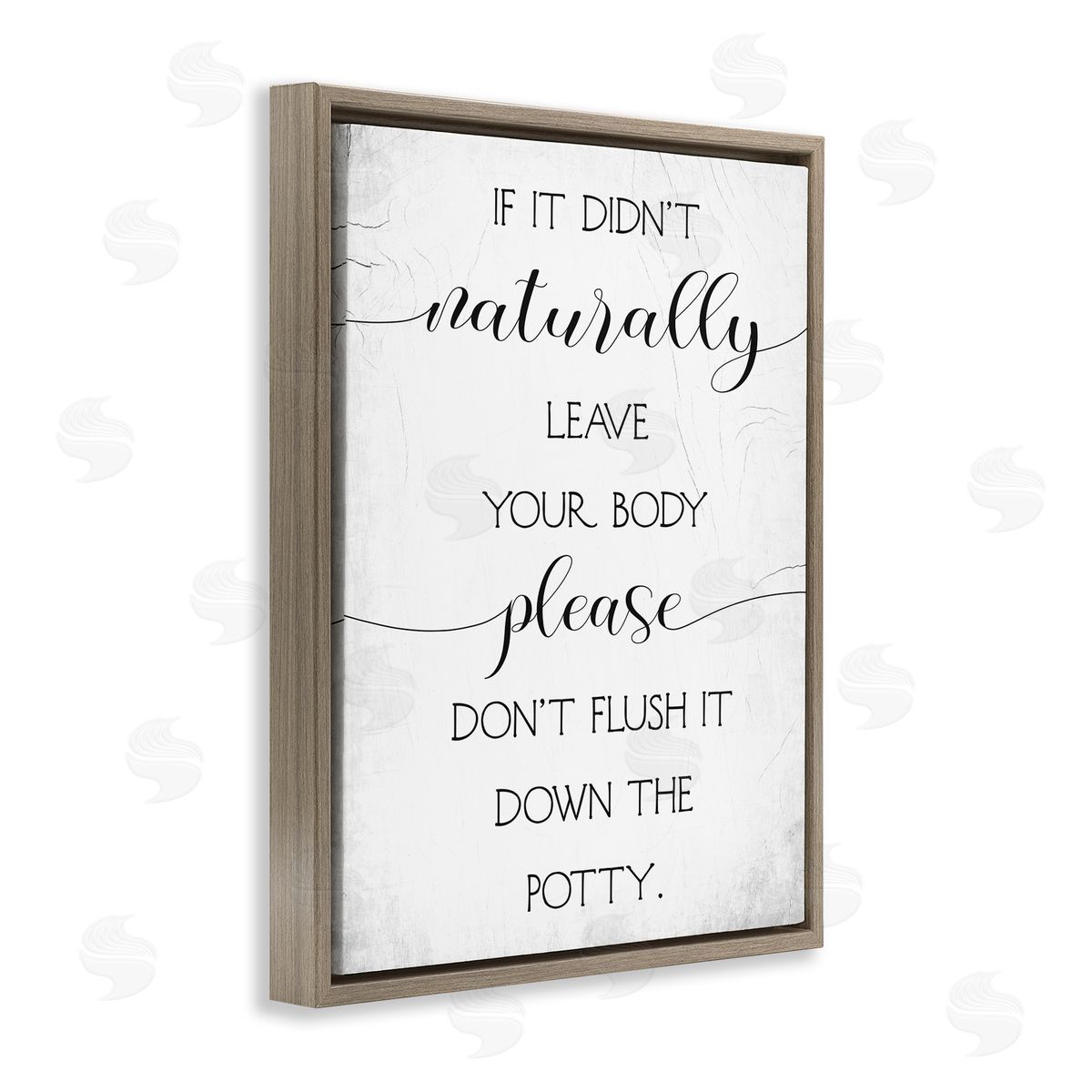 Stupell Studio Don't Flush Down Potty Quote Brown Floater Frame Canvas Art