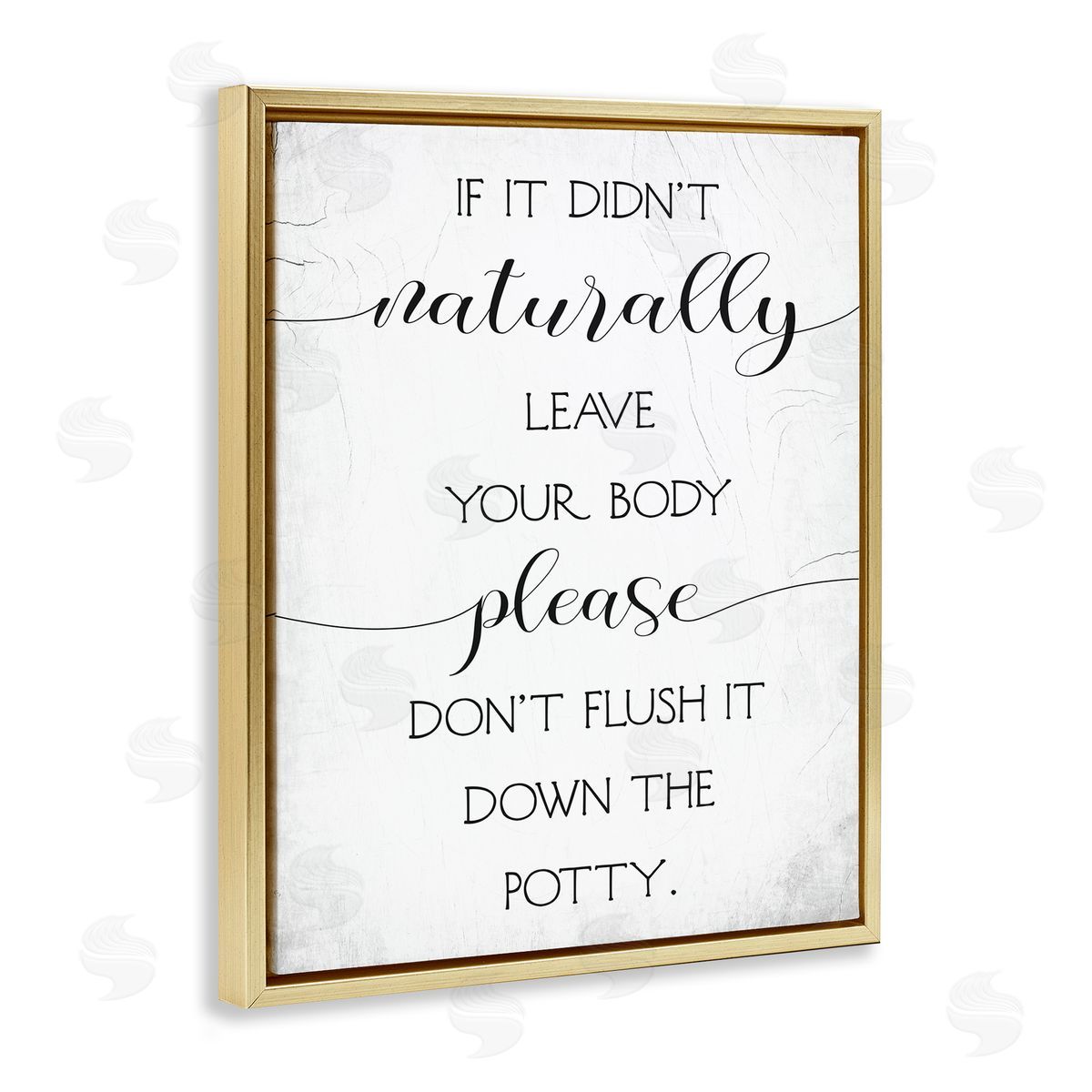 Stupell Studio Don't Flush Down Potty Quote Gold Floater Frame Canvas Art