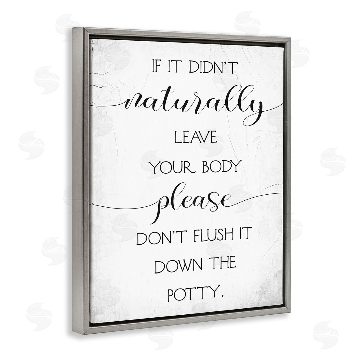 Stupell Studio Don't Flush Down Potty Quote Gray Floater Frame Canvas Art