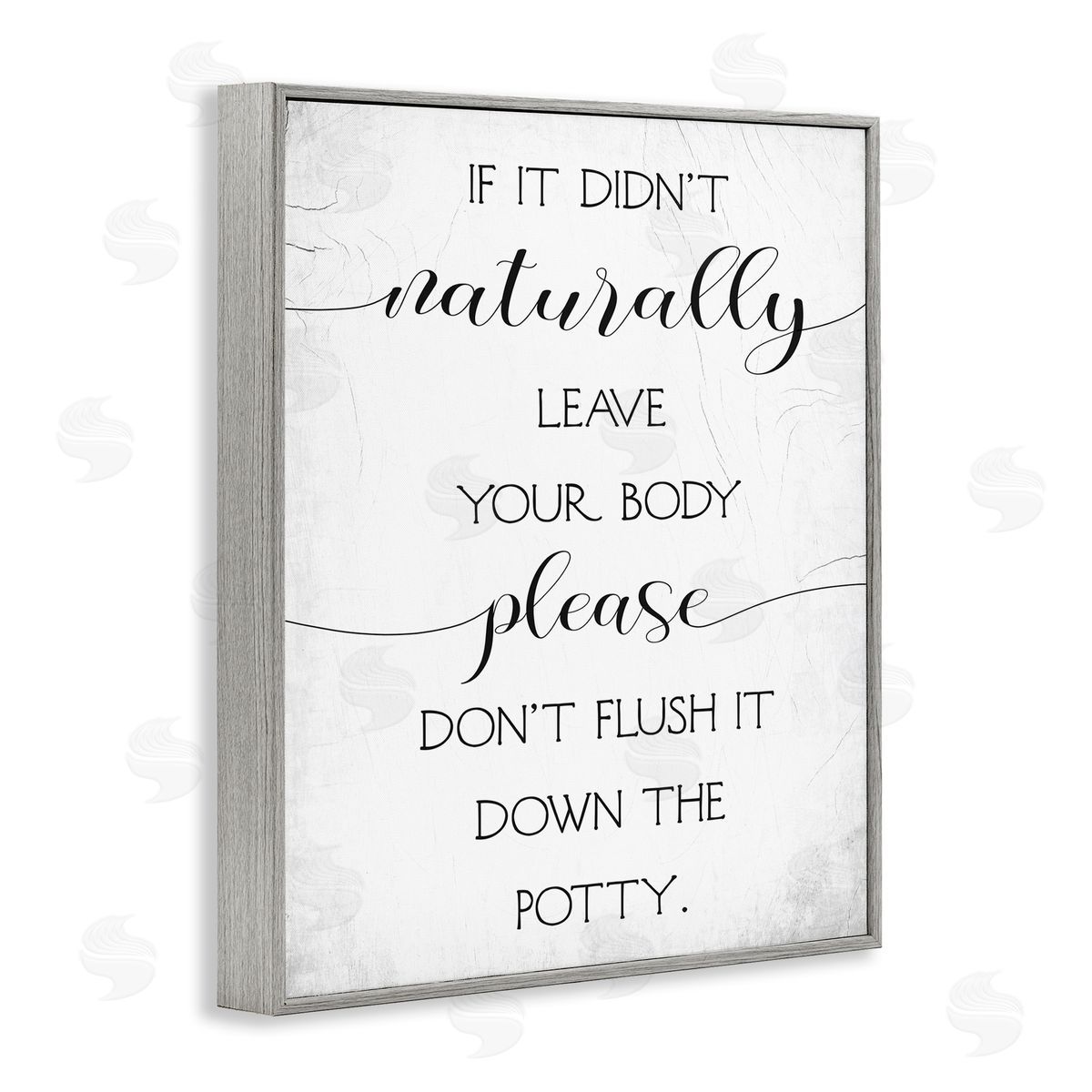 Stupell Studio Don't Flush Down Potty Quote Gray Framed Giclee Wall Art