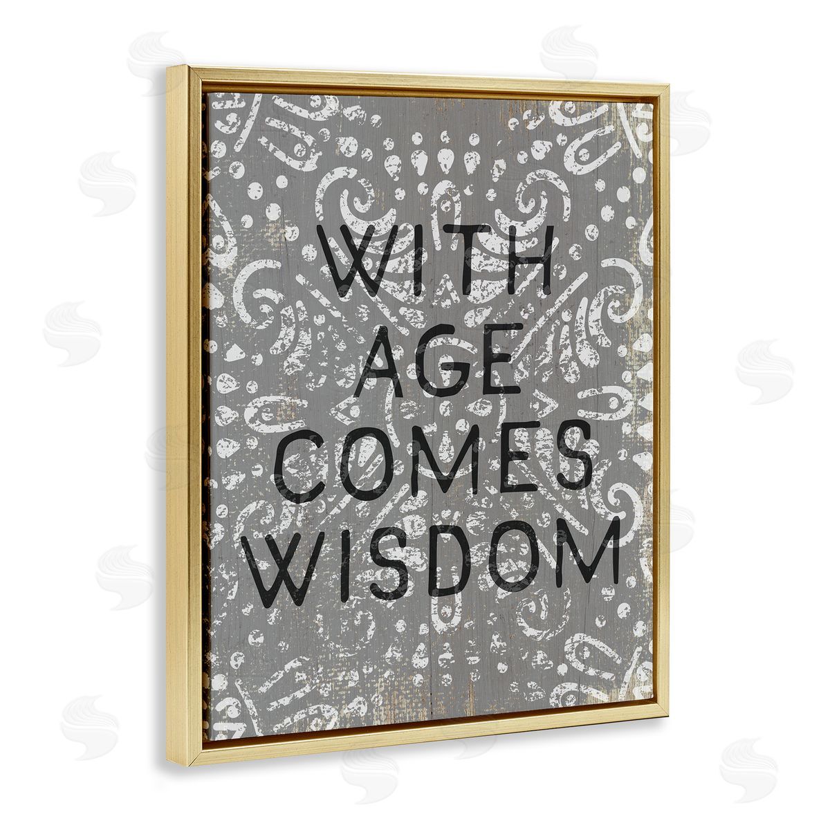 Stupell Studio With Age Comes Wisdom Boho Gold Floater Frame Canvas Art