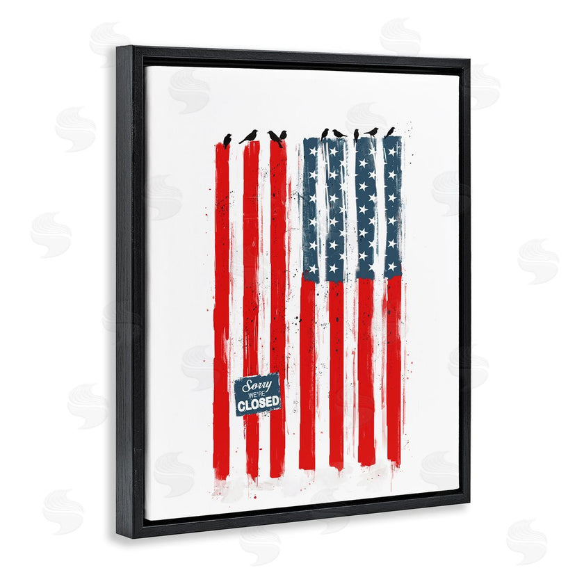 Balazs Solti | American Flag Birds Political Statement