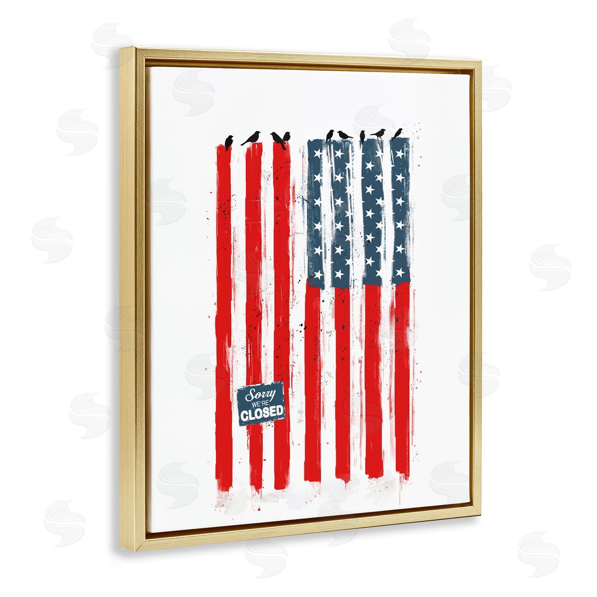 Balazs Solti American Flag Birds Political Statement Gold Floater Frame Canvas Art