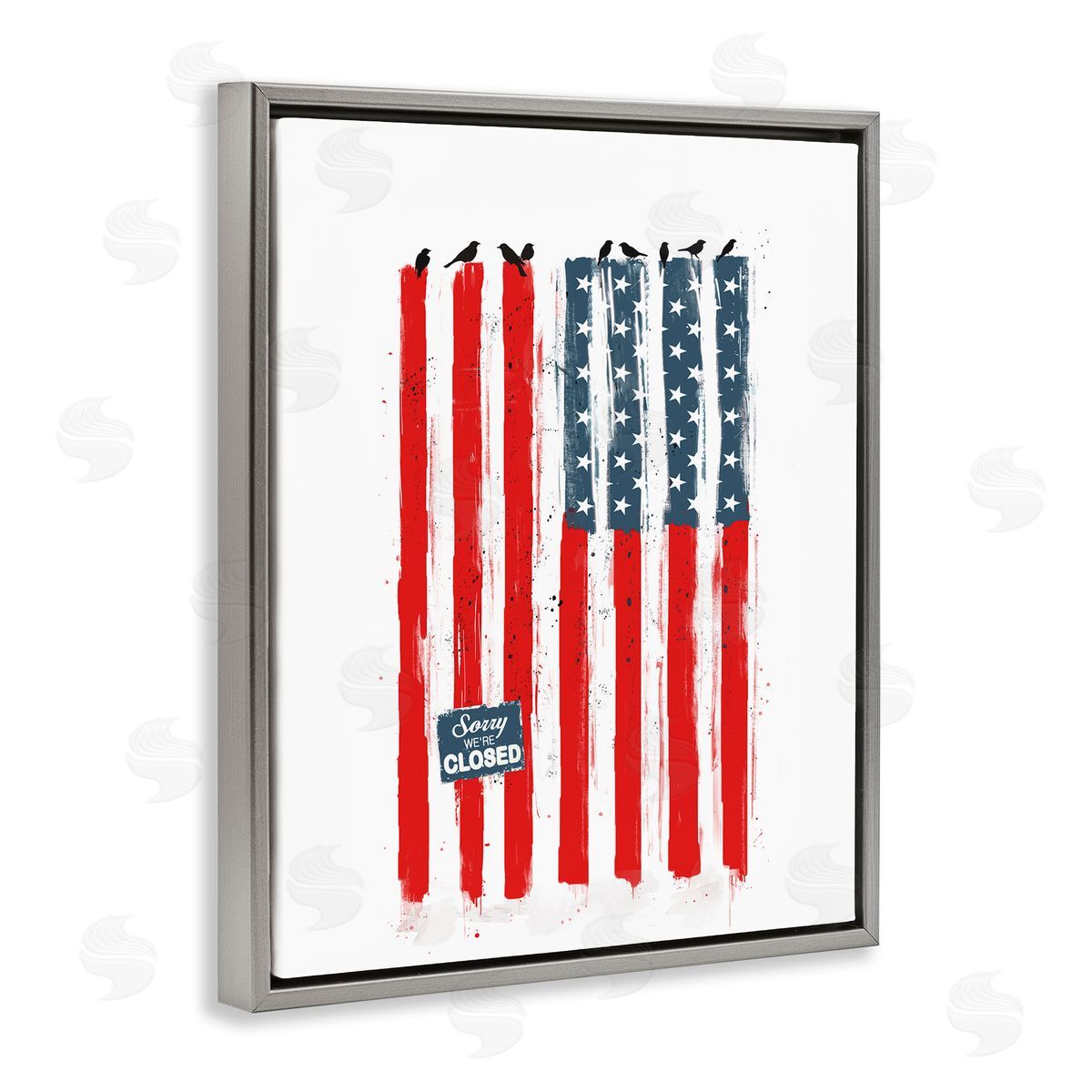 Balazs Solti American Flag Birds Political Statement Gray Floater Frame Canvas Art