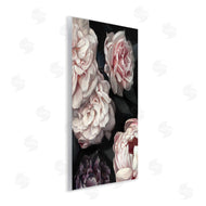Ziwei Li | Clustered Pink and White Flowers